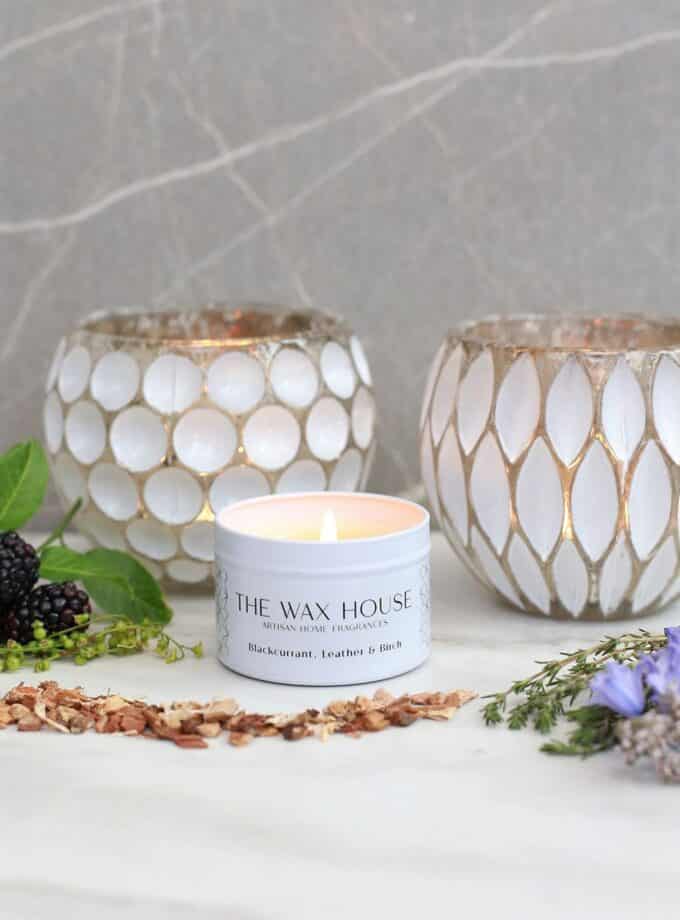 Blackcurrant Leather & Birch Travel Candle