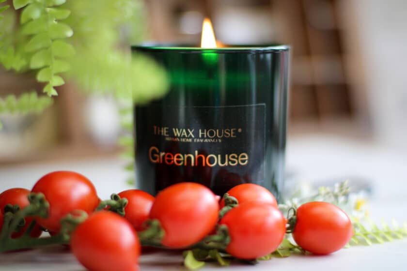Natural Soy Wax Candle Greenhouse