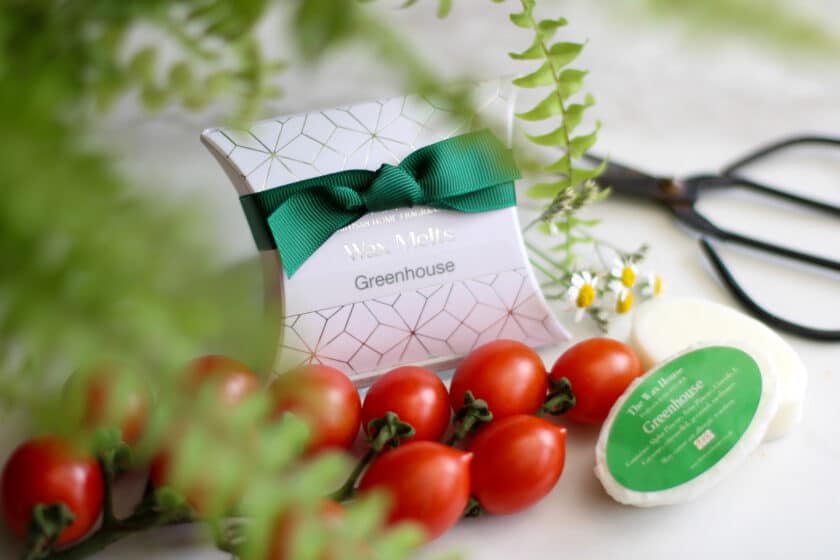 Soy Wax Melts Summer Fragrance Greenhouse