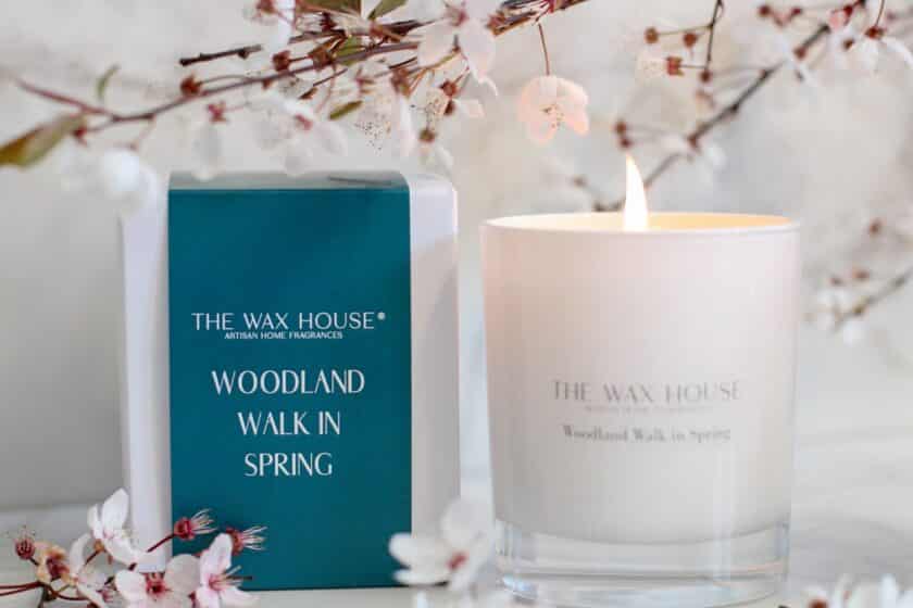 Woodland Walk in Spring Candle